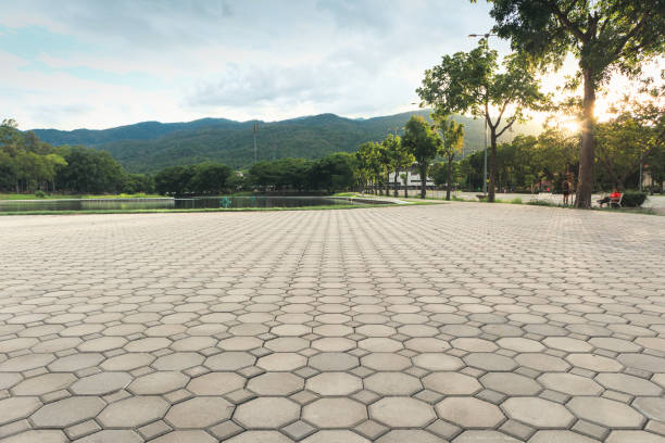 Best Driveway Paving Contractor  in Pilot Point, TX