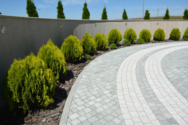 Best Driveway Paving Company  in Pilot Point, TX